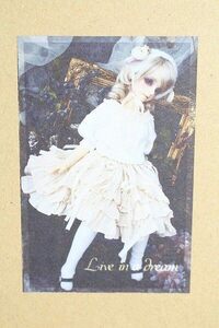 SDGIRL/OF Live in a Dream様製ドレスセット I230625-1106-ZI