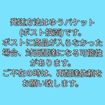 箱無し　8個　栗饅頭　栗万頭　栗まんじゅう　くりまんじゅう　胡桃まんじゅう　胡桃饅頭　くるみまんじゅう　文明堂_画像5