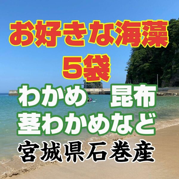 海藻セット　5袋！　宮城県石巻産