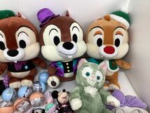 【同梱不可/現状】 TDR・TDL・TDS限定 ディズニーグッズ まとめ売り ぬいぐるみ マスコット チャーム ミッキー ジェラトーニ 他_画像3