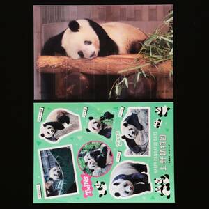 ■2023年 【非売品】 920日 シャンシャン ポストカード ハッピーパンダフルデイズ ステッカー セット 上野動物園 毎日パンダ シャオシャオ