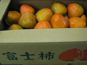 【大箱9~10kg】富士柿（渋抜き済み・サイズ混合）　家庭用　1円スタート