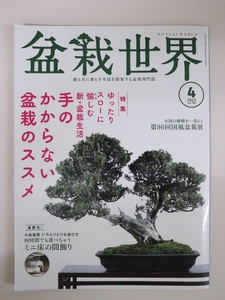  bonsai world 2022 year 4 month number hand. . from not bonsai. ssme what hour also ..... Mini floor between decoration no. 96 times country manner bonsai exhibition es media issue 