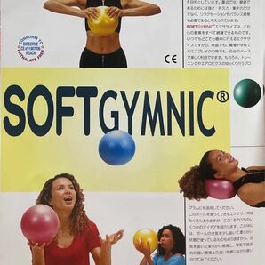 送料込 未開封 ソフト ギムニク SOFT GIMNIC ブルー