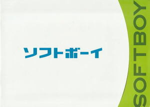 『ソフトボーイ』映画パンフレット・A４/永山絢斗、賀来賢人、波瑠、大倉孝二