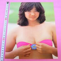 ★宮崎美子 1979年～ 女優/モデル デビュー当時の切り抜き ビキニ&セクシー 平凡 明星 近代映画 等から★_画像2