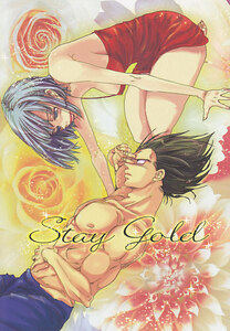  Dragon Ball #.. не.[Stay Gold]bejibru Vegeta ×bruma