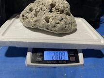 【デスロック2.809kg】条件あり送料1円 海水魚 ライブロック 装飾 隠れ家 ギンポ カエルウオ 見え隠れする可愛い海水魚の為の家_画像2