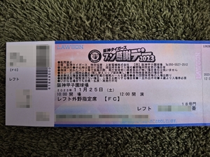 阪神タイガースファン感謝デー　レフト上段外野指定席1枚