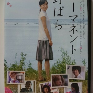 パーマネント野ばら DVD/菅野美穂 小池栄子 池脇千鶴 宇崎竜童 夏木マリ 江口洋介