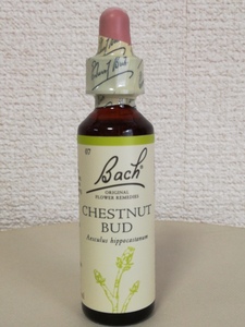  chest nut badobachi flower essence remeti chest nut bado20mlbachi flower 