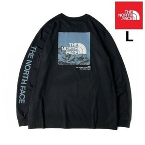 1円～!売切!【正規新品】THE NORTH FACE◆L/S LOGO PLAY 長袖 Tシャツ ロンT US限定 袖ロゴ ヒマラヤ 落描き風 男女兼用(L)黒 180902-20