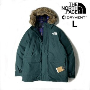 残① 1円～!売切!【正規新品】THE NORTH FACE MCMURDO PARKA ダウンジャケット マクマード パーカー US限定 裏チェック(L)緑 190122-200