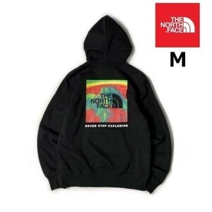 1円～!売切!【正規新品】THE NORTH FACE PRINTED BOX NSE HOODIE パーカー US限定 ボックスロゴ 裏起毛 キャンプ レインボー(M)黒181130-30