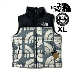 残① 1円～!売切!【正規新品】THE NORTH FACE PRINTED 1996 RETRO NUPTSE VEST ダウンベスト ヌプシ RDS US限定(XL)青 総柄 ③ 190122-115