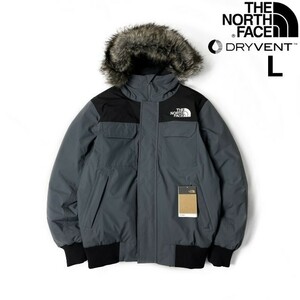 1円～!売切!【正規新品】THE NORTH FACE◆MCMURDO BOMBER JACKET マクマードボンバー ダウンジャケット US限定 撥水(L)グレー 190122-175