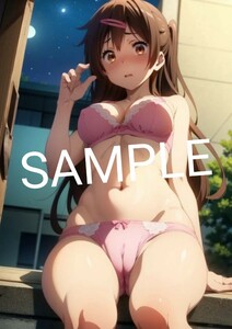 【送料無料】【匿名配送】A4サイズブロマイドポスター 中二病でも恋がしたい 丹生谷森夏 モリサマー