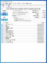 SSD 256GB M.2 NVMe 2230 CL1-3D256-Q11 動作確認済み(a1461_画像2