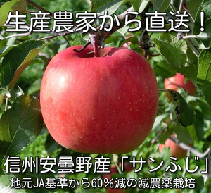 即決■信州安曇野「葉とらずサンふじ」約5キロ　家庭用　減農薬・除草剤不使用【送料無料地域限定】①