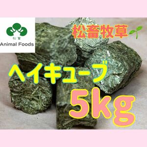 ★松畜牧草　★ヘイキューブ　5kg 【アルファルファ】