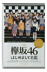 AB288 欅坂46 はじめまして名鑑/乃木坂46 ノギザカメラ46（平手友梨奈 白石麻衣 他）◆冊子 8ページ 切り抜き 切抜き