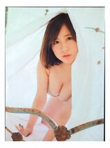 AD272 小野恵令奈（AKB48）◆切り抜き 5ページ 切抜き 水着 ビキニ_画像3