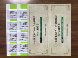 乗車証8枚と沿線施設優待券2冊付 山陽電気鉄道 株主優待 株主優待電車乗車証 山陽電鉄グループ沿線施設ご優待券 乗車券 即決