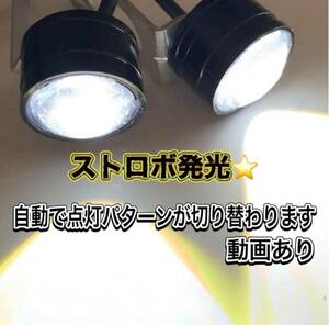 ストロボライト ホワイト バイク フラッシュ 自動車 LED 蛍ランプ 暴走ランプ 点滅 白 ストロボ