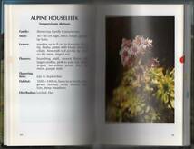 ★洋書★アルペン★花★図鑑★Enchanting Alpine Flowers★Alfred Pohler★Edition 1991★Printed in Austria★クリックポスト★_画像6