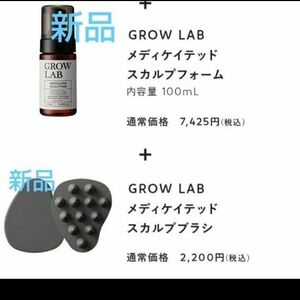 N organic Grow LABO メディケイテッド スカルプフォーム、スカルプブラシ 新品