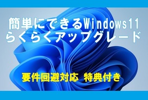 簡単にできる☆Windows11 らくらくア ッ プ グ レ ー ド ■要件回避対応■２枚組 特典付き