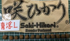 2 kilo Kyorin .... rearing L bead surfacing (7.5~8.5.)( colored carp water . turtle large fish isigame meat meal fish both . reptiles tropical fish ) height .... inside small ....