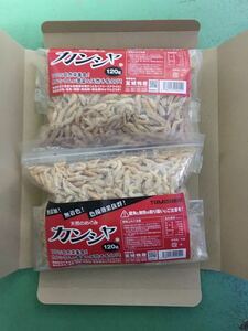 2袋 富城物産カンシャ(120g×2=240g)(乾燥エビ、クリル)肉食魚(アロワナ 淡水エイ ナマズ ピラニア)爬虫類(カメ)商品説明をお読みください