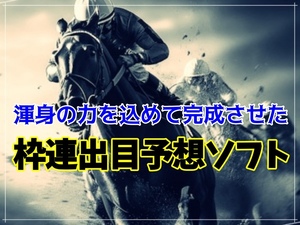 ☆フルパワーを込めて完成させた枠連出目理論！4ケ月回収率160%達成！厳選目抽出ソフト！競馬 JRA 投資 副業 オリジナル 在宅 初心者 当る