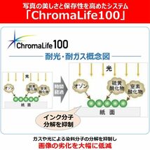 【在庫処分】インクカートリッジ 純正 BCI-380XLPGBK ブラック Canon 大容量タイプ_画像6