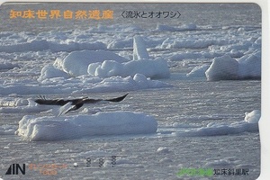 ＪＲ北海道「流氷とオオワシ」1穴使用済み