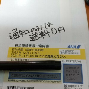 １枚　通知のみ送料無料 郵送送料63円から 株主 最新 全日空 ANA　株主優待券　優待　割引券　2024.11まで byムスカリ