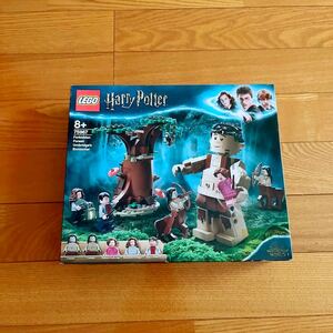  rare * records out of production goods * new goods unopened LEGO Harry Potter Hogwarts Harry Potter series 75967 prohibitation .... forest Glo up. Anne Bridge. ..