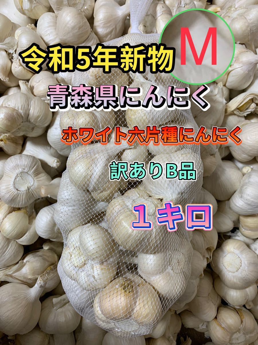 令和5年 青森県にんにく5Kg 2L 種オススメ 送料無料 Yahoo!フリマ（旧）-