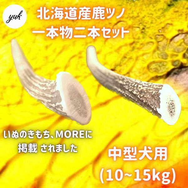 【送料無料】中型犬用　一本物　先端　2本セット　北海道産エゾ鹿の角　犬のおもちゃ