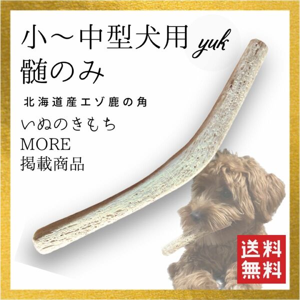 【24時間以内発送】小~中型犬用　髄のみ　歯が心配な子鹿角初めての子用　北海道産エゾ鹿の角　犬のおもちゃ