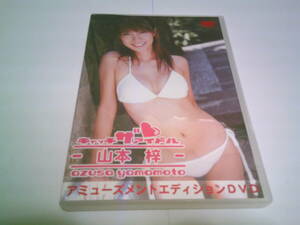 山本梓 DVD「キャッチザアイドル」