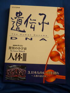 傷なしDVD★NHKスペシャル 驚異の小宇宙 人体Ⅲ 3. 日本人のルーツを探れ～人類の設計図～／朗読:大滝秀治●56分・3.800円盤★即決