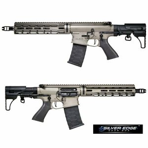 電動ガン APS/EMG Falkor Defense Blitz コンパクト CRS グレー