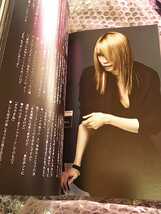 DIR EN GREY 表紙 雑誌 MASSIVE Vol.17 マッシヴ マッシブ /検 sukekiyo 京 薫 Toshiya Tシャツ タオル MADARANINGEN PHALARIS 19990120_画像6