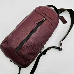 1円 【未使用級】COACH ボディバッグ ショルダー 肩掛け 斜め掛け オールレザー 本革 ビジネス メンズ ボルドー ドッグタグ コーチ