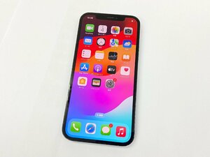 SIMフリー　iPhone 12 Pro　256GB　パシフィック ブルー　本体のみ　バッテリー：80％　管理番号：10-26　【安心保証】