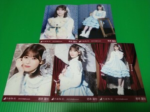 乃木坂46 【岩本蓮加】 2023 Halloween 個別 生写真 ５種コンプ webshop限定 ハロウィン