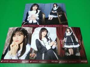 乃木坂46 【柴田柚菜】 2023 Halloween 個別 生写真 ５種コンプ webshop限定 ハロウィン