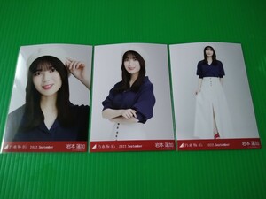 乃木坂46 【岩本蓮加】 マリンルック 生写真 ３種コンプ 2022年 9月 September ランダム webshop限定